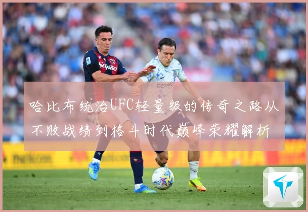哈比布统治UFC轻量级的传奇之路从不败战绩到格斗时代巅峰荣耀解析