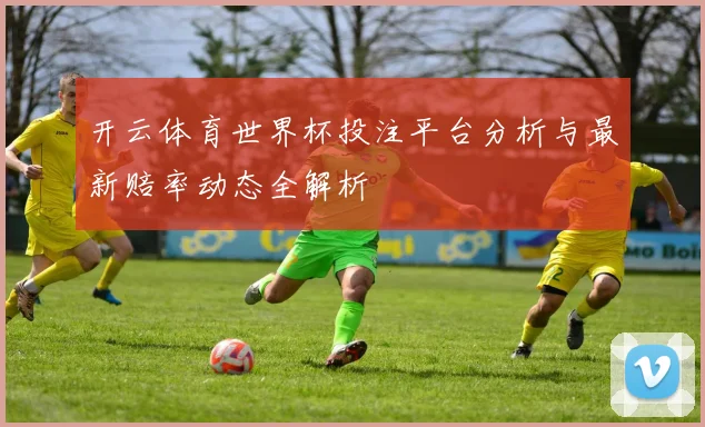 开云体育世界杯投注平台分析与最新赔率动态全解析