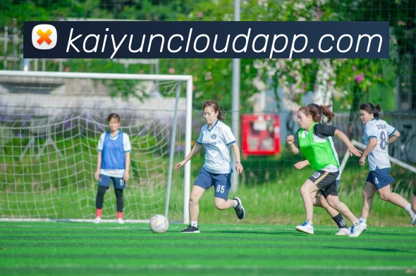 开云平台展示图